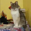 Отзыв от Роза Лаврова